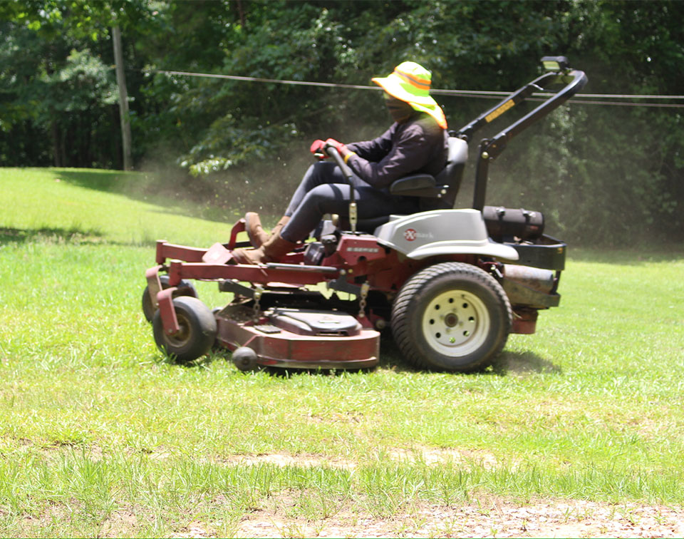 Meridian Landscaping Company, Lawn Care Services and Landscape Design