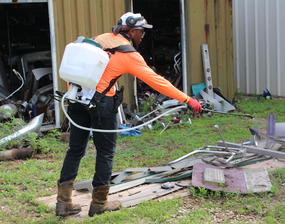 Quitman Landscaping Company, Lawn Care Services and Landscape Design